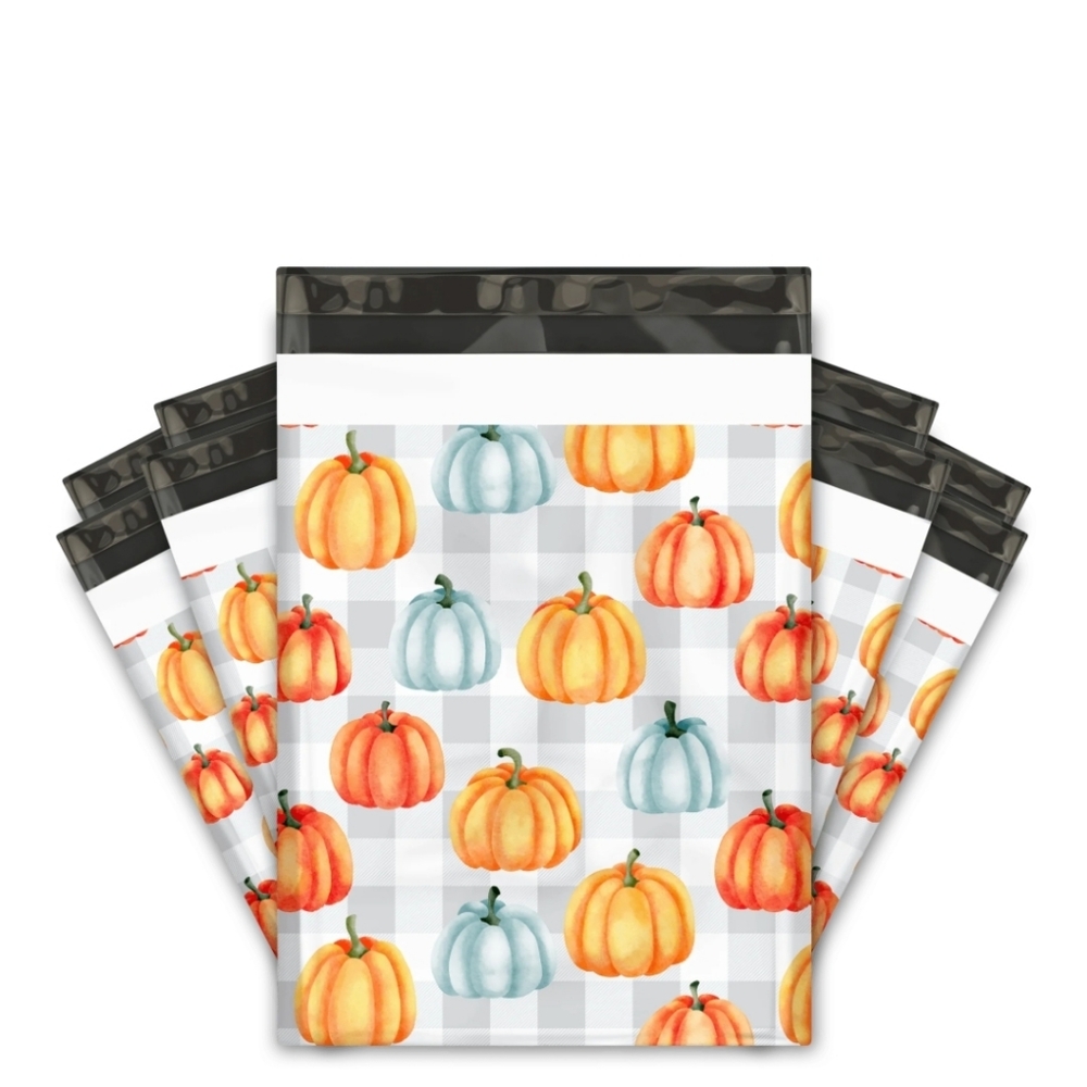20ct Pumpkin Poly mailers